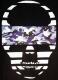 Skull camouflage��Black��Blue