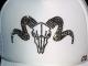 Skull Sheep Swarovski cap white