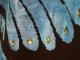 Phoenix Swarovski Parker Black /Blue