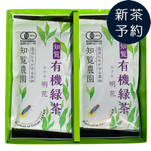 �ڿ���ͽ���ͭ����������2��Ȣ��