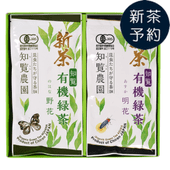 �ڿ���ͽ���ͭ������2��Ȣ��