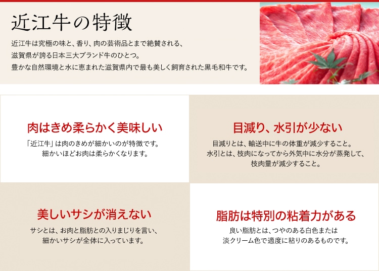 極上近江牛(A5)【サーロイン】しゃぶしゃぶ・すき焼用 500g