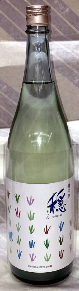穏（おだやか）生もと純米　しぼりたて生酒　720ml【自家栽培のお米で醸す旨口の純米！】