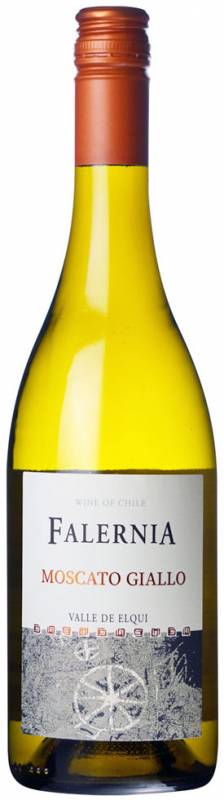 2023年 モスカート ジャッロ(白)チリ エルキ ヴァレー