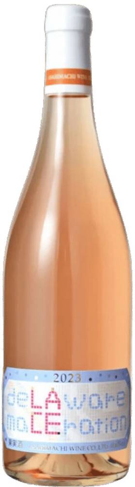 レイス デラウェア マセレーション2024年（オレンジ）750ml【山形県西村山郡朝日町　朝日町ワイナリー】