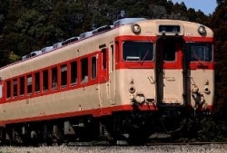 #22-202-6 ɥɡ58ϡ23%OFF