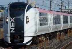 #22-203-8 ɥɡE259ϡ23%OFF