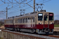 Һ߸ˡŷƲ1665017 6050 ХХ륫顼 6179F 2ξ5%OFF