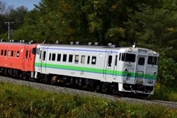 Һ߸ˡӥ40 40-1700 ̳ƻ եű (M)26%OFF