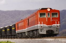 Һ߸ˡDF50 ͹ 2ξåȡ26%OFF