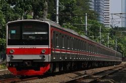 ͽ205 ɥ̶ͥŴƻ 12ξåȡ35%OFF ܹѡ