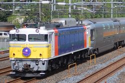 ͽ#1-326 EF81 ڥ35%OFF