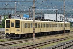 ͽ8000 81111F   ꡼ 4ξ30%OFF