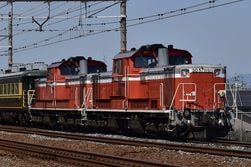 ��ͽ���DD51-1000 JR�����ܻ��� �����顼��ܼ֡�35%OFF��