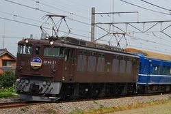 予約】TOMY 新製品 再販品 | チヨダレールセンター オンラインショップ