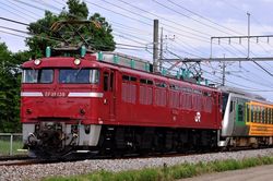 ルミルミ出品 予約】TOMY 新製品 再販品 | チヨダレールセンター オンラインショップ