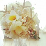  ִۥ磻ȥץꥢȳΥ֡֡ȥ˥