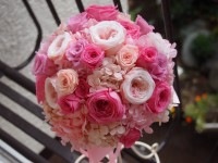 ピンクグラデーション４点セット|４点セット|ウェディングセット