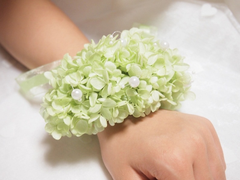 դդ濫ꥹȥåȡ饤ȥ꡼