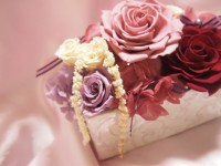 ボルドーメリアアレンジ|贈呈＆お祝い|贈呈＆お祝い