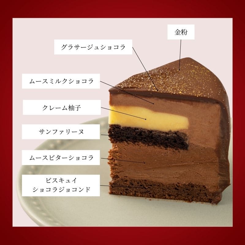 ノエル・ドゥ・ショコラ 5号(15cm)