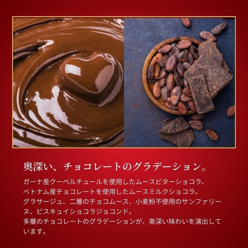 ノエル・ドゥ・ショコラ 5号(15cm)