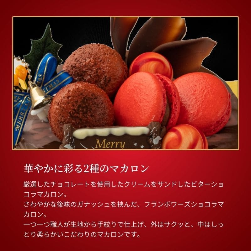 ノエル・フランボワーズ・ショコラ 4号(12cm)
