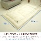 シンサレートウルトラ 掛布団 ショートセミシングル 135×185cm 防ダニ 洗える 小さい 短い 女性 軽量 軽い 暖か