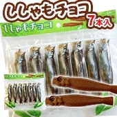 ���������祳 �ڥ᡼���