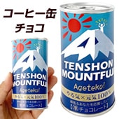 �ڴ���ۥ����Ҵ̥��祳 ��TENSHON MOUNTFUJI��