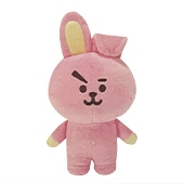 1/5出荷予定】BT21 プラッシュドール チョコ付き RJ ☆1