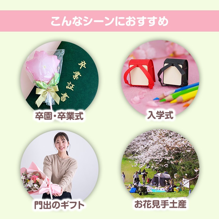 �Х롼��֡������祳������ ����ƥ���ߥ����祳�դ� ���ۻҥ֡��� ´��