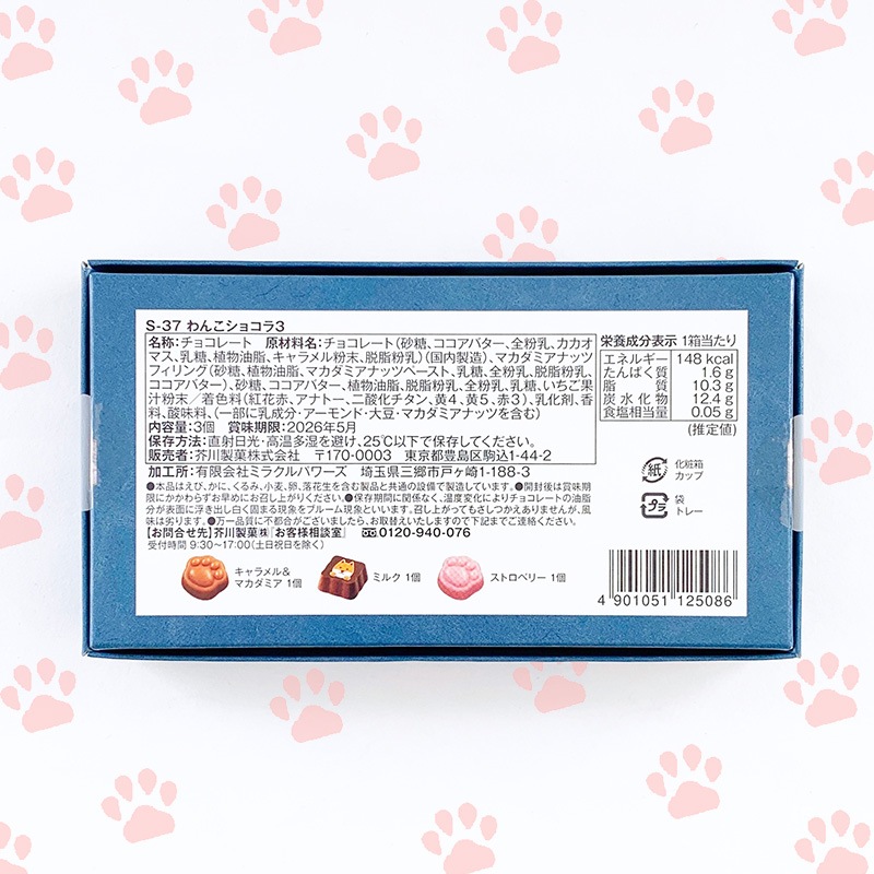 完売】わんこショコラ3コ チョコ ☆青☆【手提げ袋付き