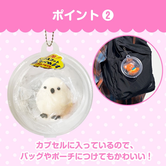 ޥ女å ޥʥ ưʪޥޥ 祳ʳ 