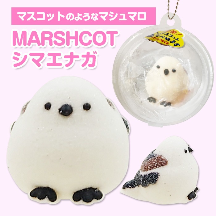 ޥ女å ޥʥ ưʪޥޥ 祳ʳ 