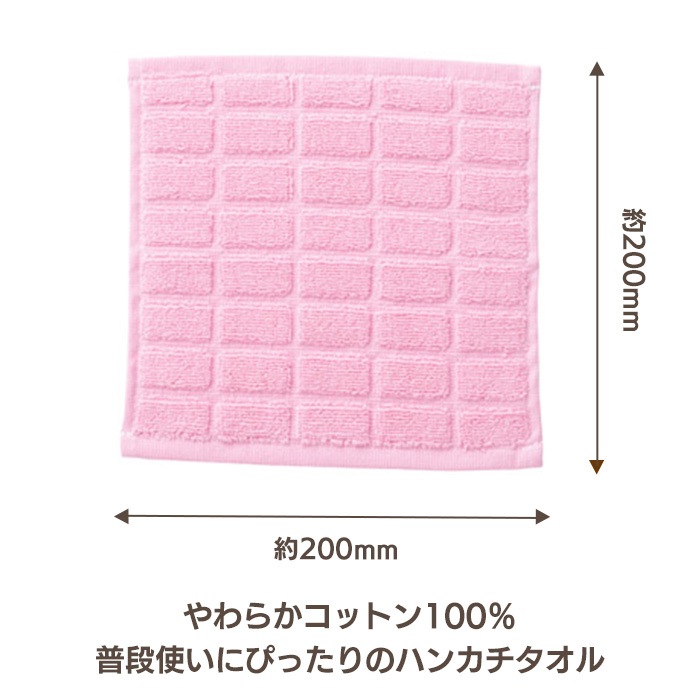 ���ƥ����祳������ ���ԥ󥯡��ڥ᡼���