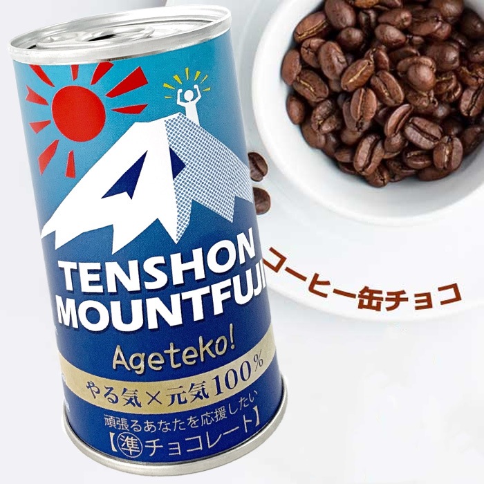 �ڴ���ۡ�2�̥��åȡۥ����Ҵ̥��祳 ��TENSHON MOUNTFUJI��