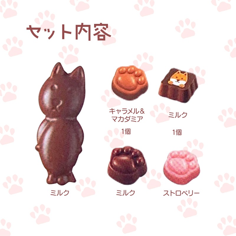 完売】わんこショコラ5コ チョコ ☆緑☆ 【手提げ袋付き