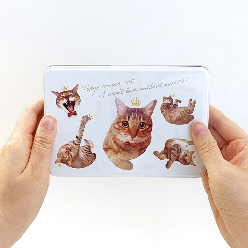 TOKYO CROWN CAT �ȥ饺���͡ڥ᡼���