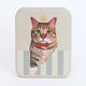 TOKYO CROWN CAT �Ȥ�Τ��ߤ��� �����ȥ饤�ס� �� �����ǥ� �ڥ᡼���