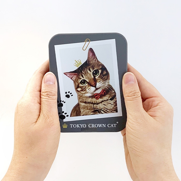 TOKYO CROWN CAT とらのくみあめ ☆フォト☆ 飴 キャンディ 【メール