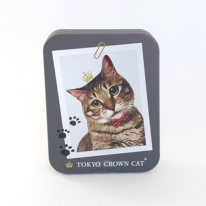 TOKYO CROWN CAT とらのくみあめ ☆フォト☆ 飴 キャンディ 【メール