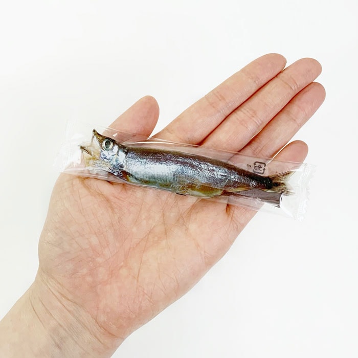 ���������祳 �ڥ᡼���