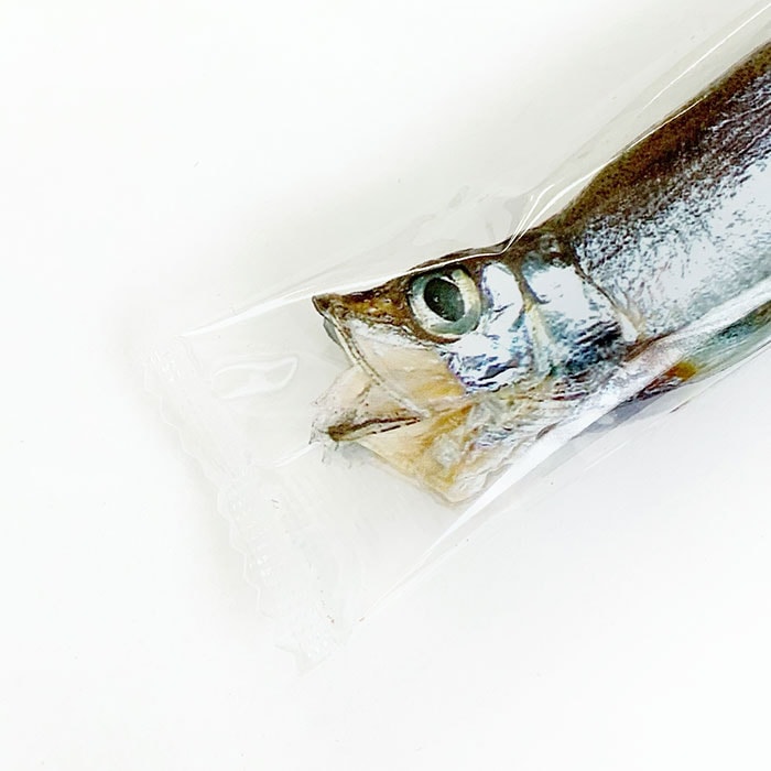 ���������祳 �ڥ᡼���