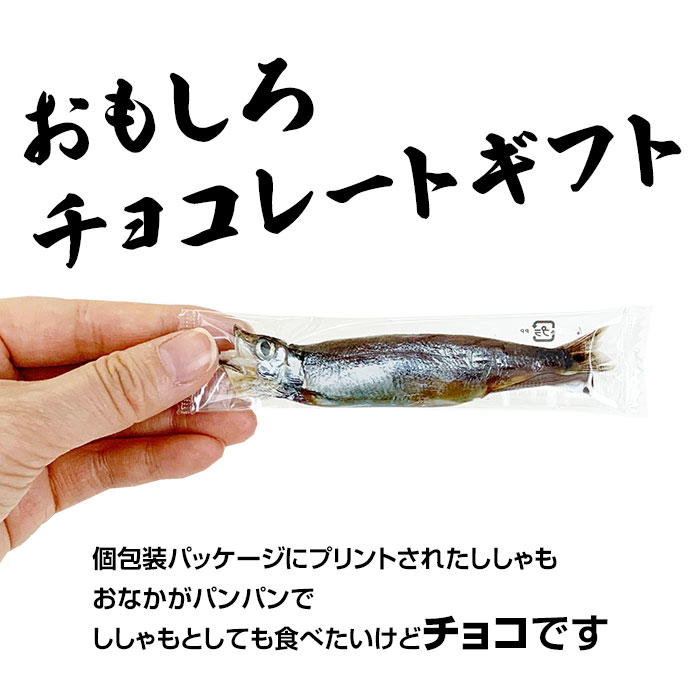 ���������祳 �ڥ᡼���