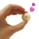 ݥޥ祳(R)  ڥ᡼