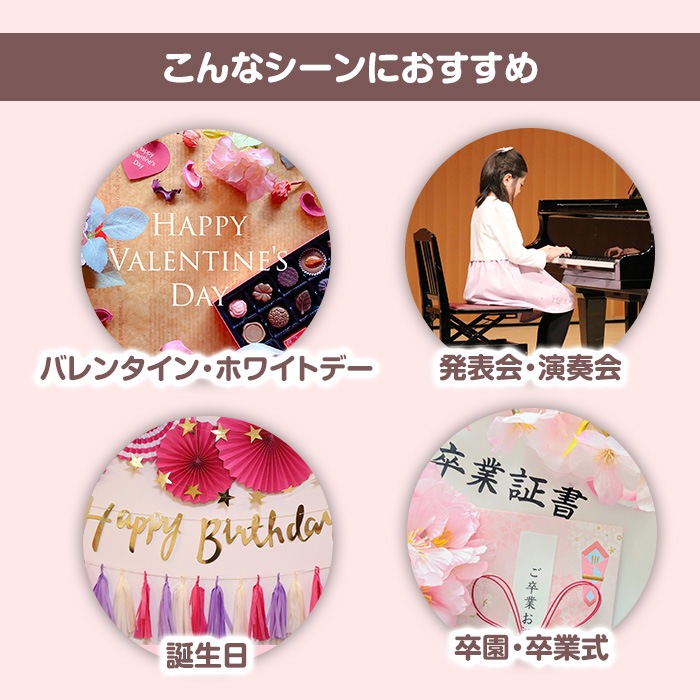 ���祳�졼�ȥ֡��� ���֥Х롼��Ver.�� ���ۻҥ֡���