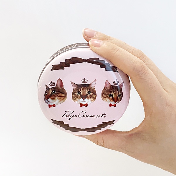 TOKYO CROWN CAT �ץƥ����������ȥ����ǥ� ���ԥ󥯡��ڥ᡼���