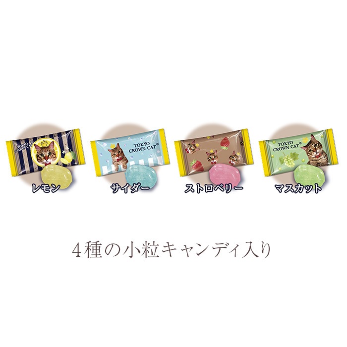 TOKYO CROWN CAT �ץƥ����������ȥ����ǥ� ���ԥ󥯡��ڥ᡼���