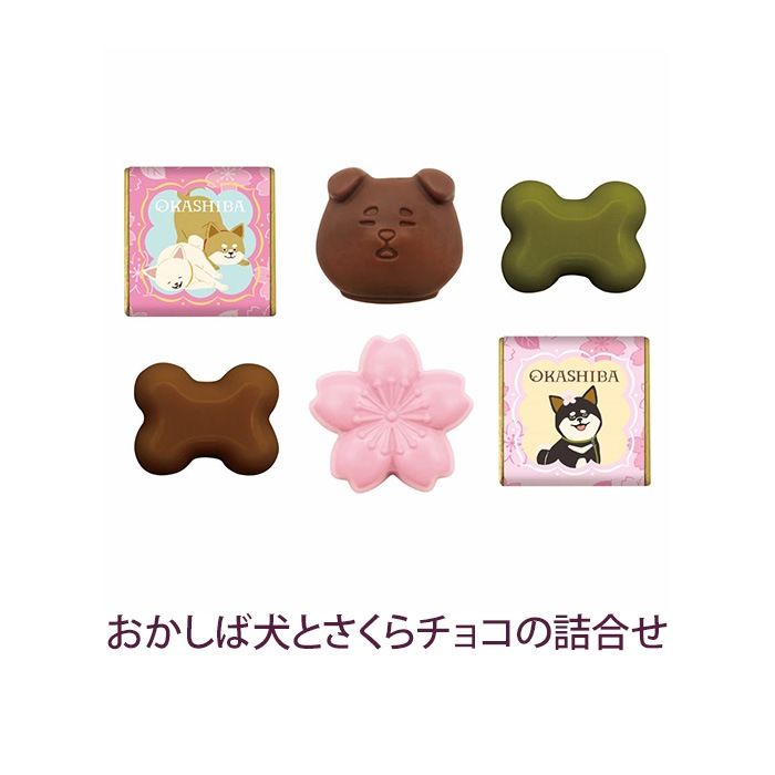 �ڴ���ۤ������Ф����� ���祳�������ȡڼ������դ���